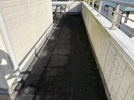 事例　ビフォー写真2